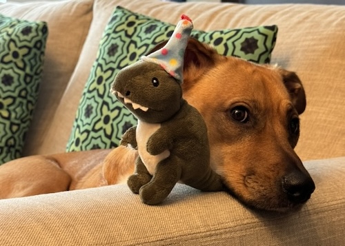 Puppy with dino